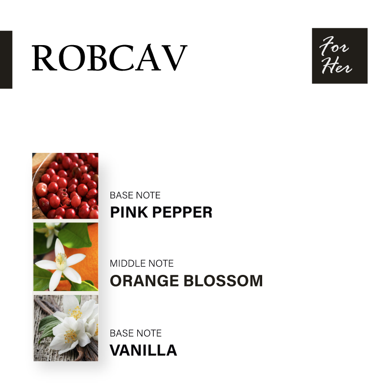 ROBCAV2