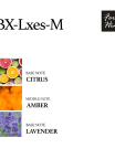 BX-Lxes-M-3