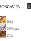 ROBCAV-PA--3