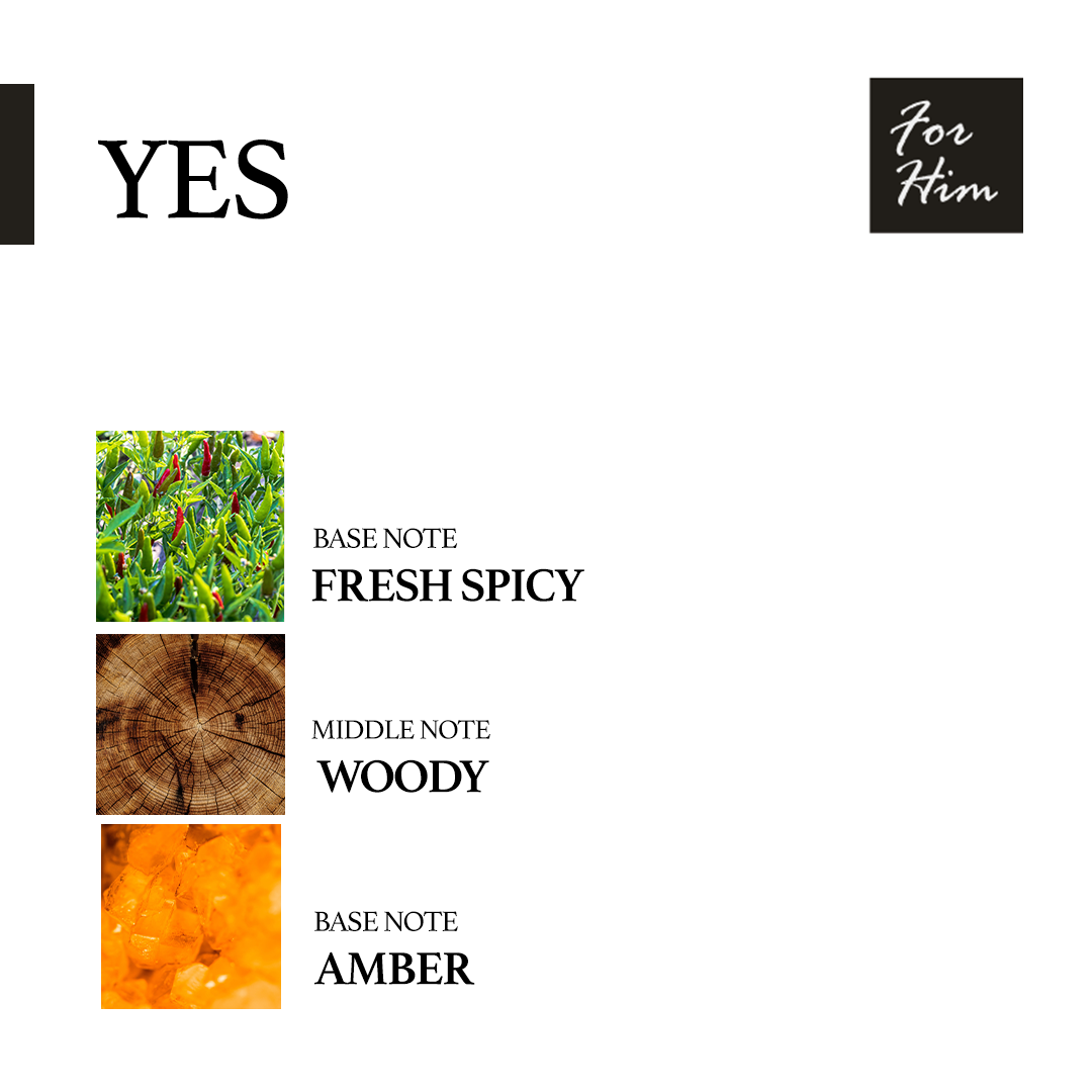 YES-3